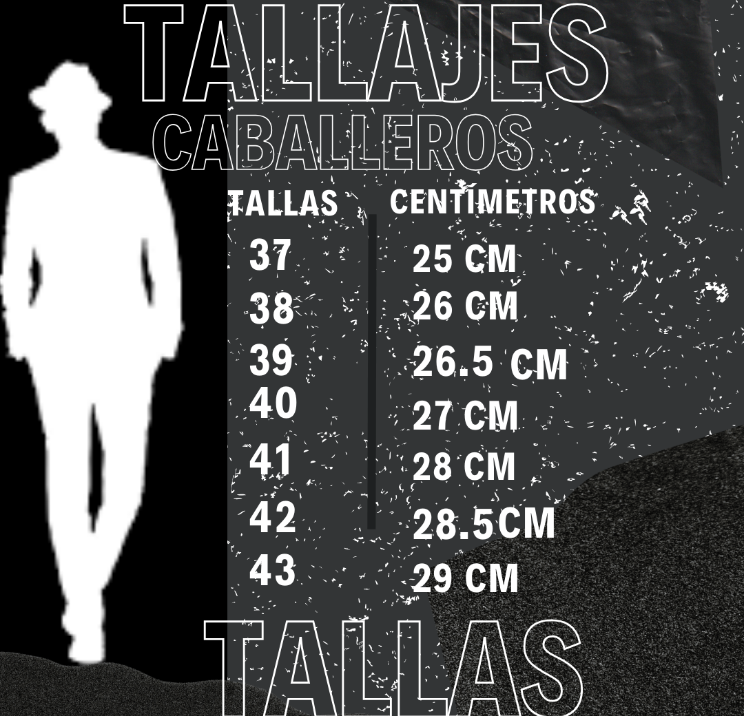 Tenis Casual
