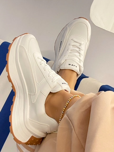 👞 Zapatos Casual Boston (1418229)